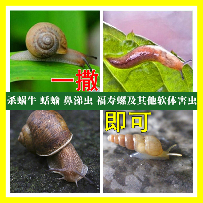 治灭杀清除蜗牛软体虫蛞蝓鼻涕虫杀虫药颗粒蔬菜园花草地坪菜地用-图1