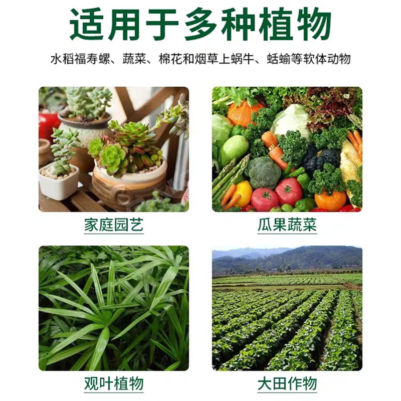 治灭杀清除蜗牛软体虫蛞蝓鼻涕虫杀虫药颗粒蔬菜园花草地坪菜地用-图2