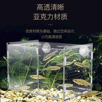 Hatchbox Separation Raw Fish Tropical Fish Small Vat Middle Cylinder Fish Fry Suspended Double Fish Tank Isolated box Fish