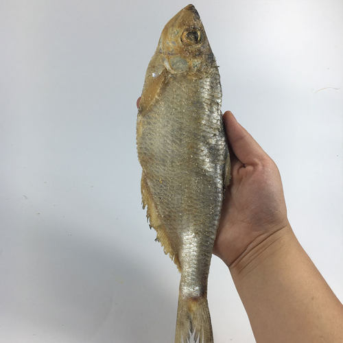 宁波三臭特产三刨咸霉鳓鱼臭香白磷勒鲞鲙鱼自晒盐力鱼干货腌制抱 - 图2