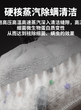 多功能蒸汽油污清洁机