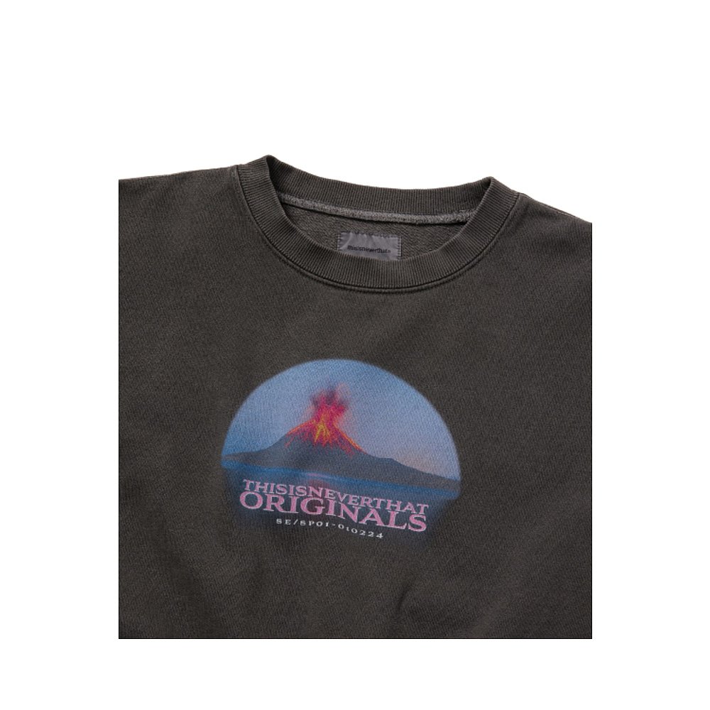 韩国直邮THISISNEVERTHAT 女士女士卫衣/绒衫TN251TSWCW02CHA Volc - 图0