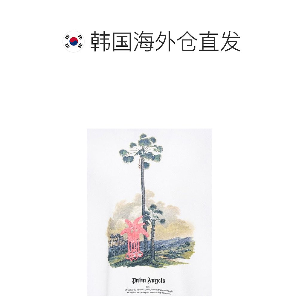 韩国直邮PALM ANGELS23FW毛衣男PMBB138E23FLE002 0332OFFWHITE - 图1