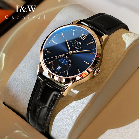 iw爱沃驰手表女款机械表全自动女士手表小众轻奢高级七夕礼物老婆