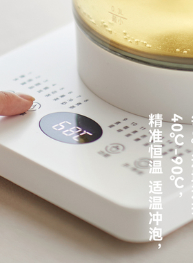 家用全自动玻璃加厚煮茶器养生壶
