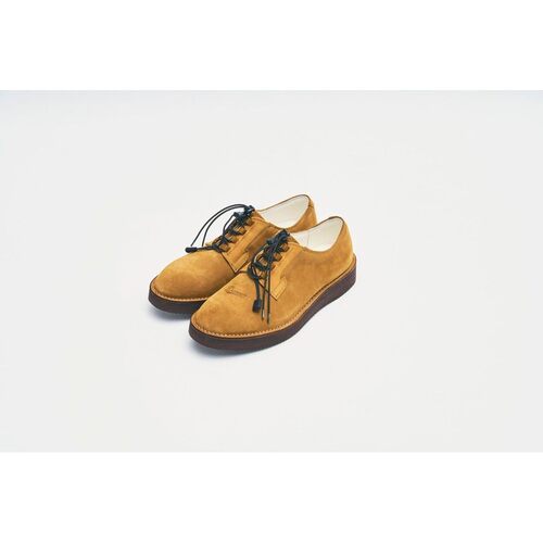 日本直邮DANNER × POLIQUANT “邮差鞋”细胞梯度”“郊狼” - 图3