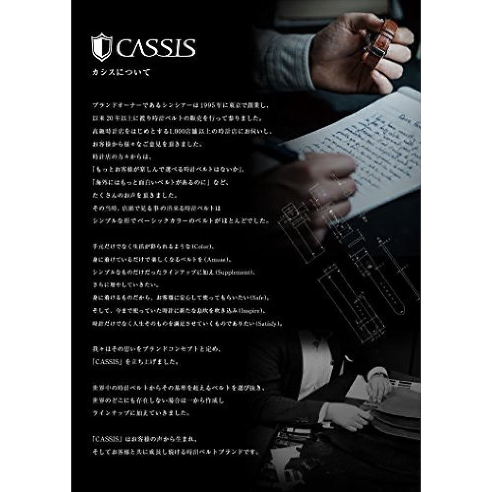 【日本直邮】CASSIS尼龙手表带22mm灰色  带更换工具X1126CS10910 - 图2