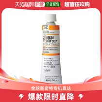 (Japan Direct mail) Holbein Horbein due to oil painting pigments Deep cadmium Yellow H253 40ml (No. 9)