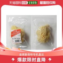 (Direct mail in Japan) Holbein Horbein due to natural sponge No 2 Breakdown 10 × 11cm 2121