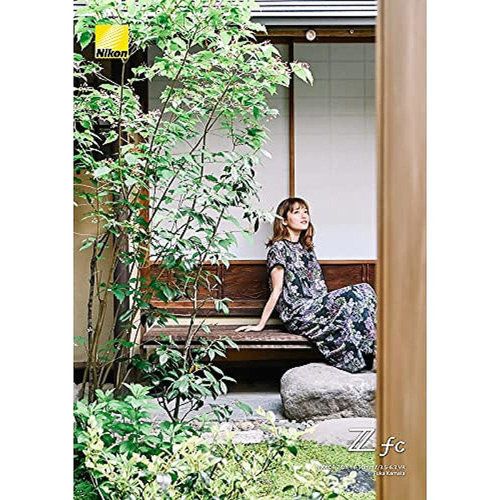 【日本直邮】Nikon尼康 相机镜头银色16-50mm f/3.5-6.3 - 图2