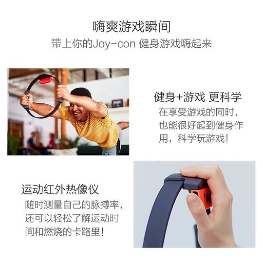 Nintendo Direct Mail Adventure Pilates Ring