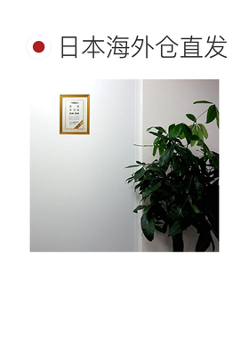 日本直邮Kokuyo国誉相框裱画框精美摆件可挂墙金色奖状B4适用