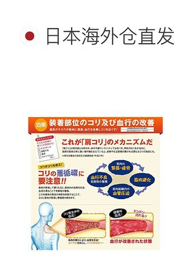 【日本直邮】phiten法藤 项链RAKUWA磁性钛项链黑色/银色50cm