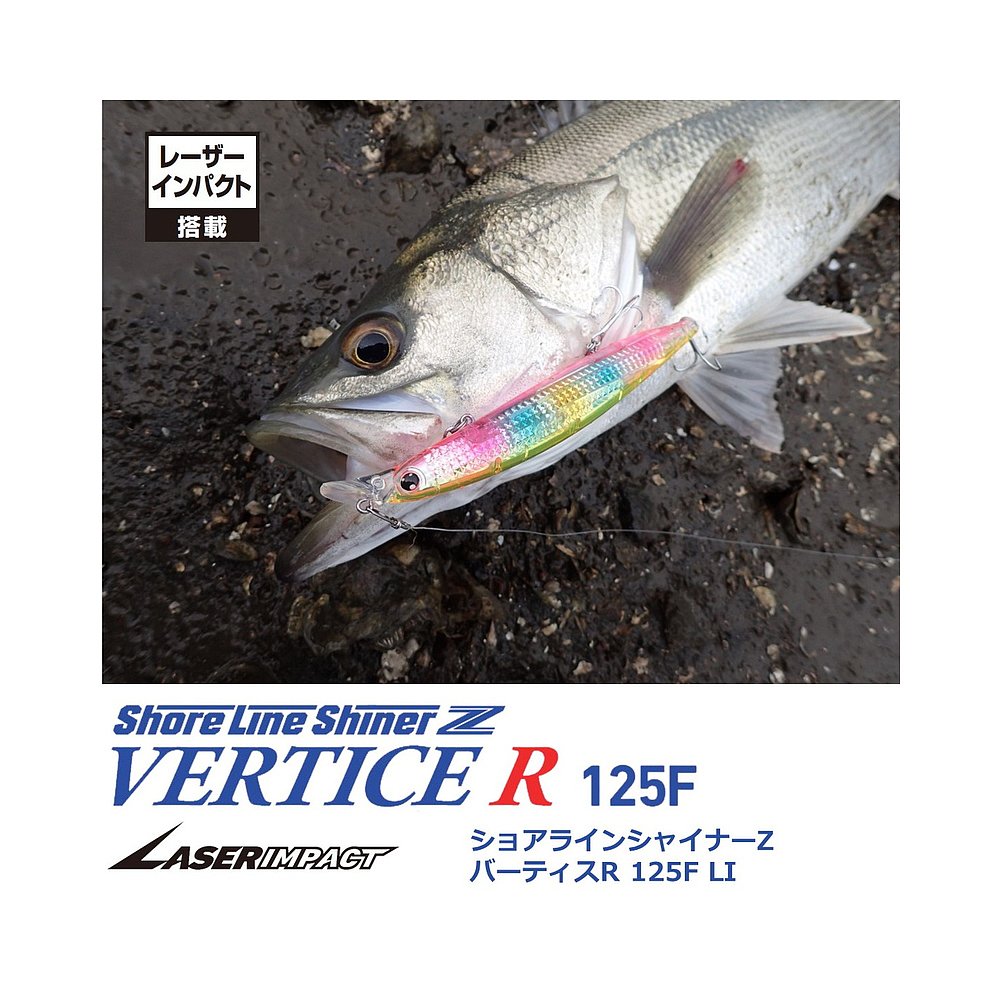 日本直邮Daiwa Shoreline Shiner Z Vertis R 125F 激光冲击 LI - 图0