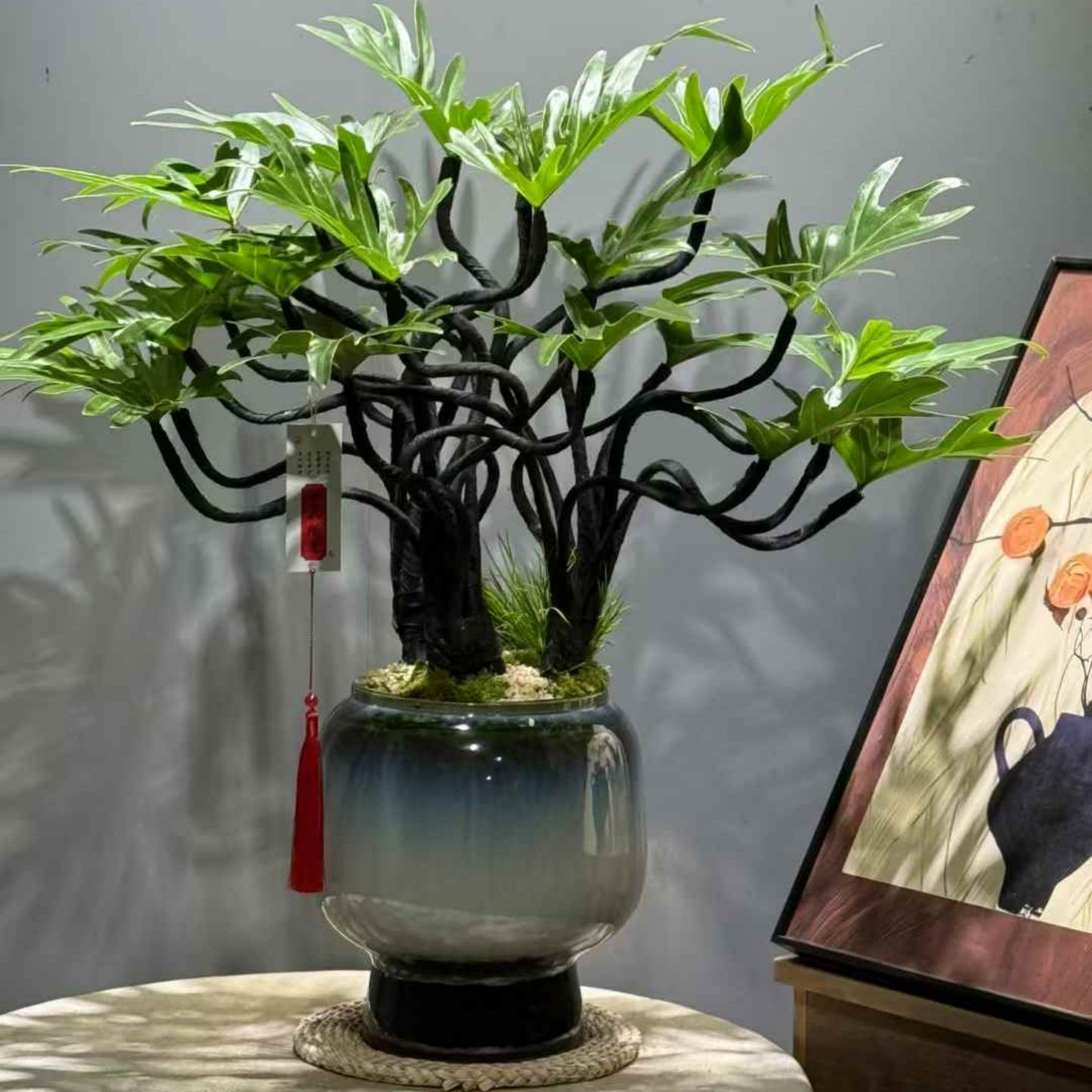 造型小天使组合盆栽室内桌面大绿植书房办公茶几好养植物四季常青,淘宝优惠券,粉丝福利购,淘宝优惠卷