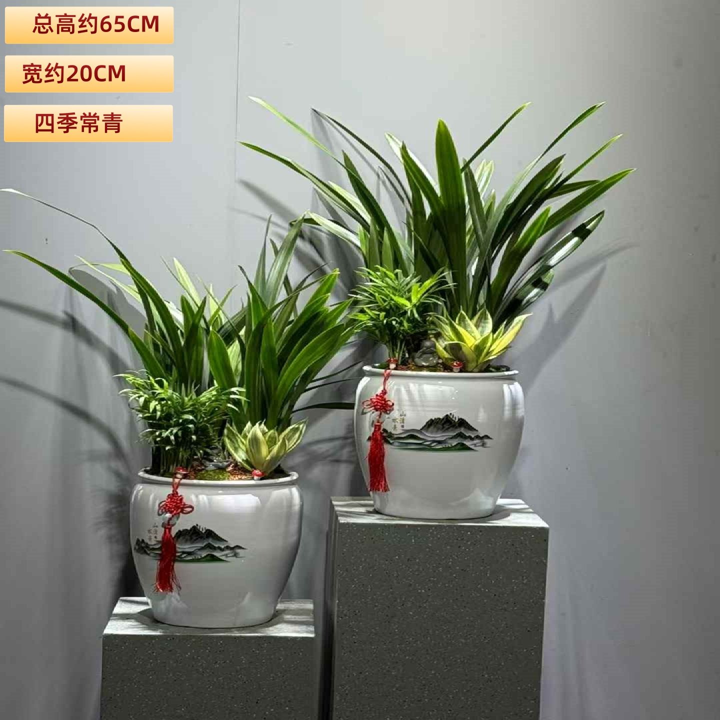 墨兰盆栽室内耐阴花卉客厅办公桌面好养盆景常青植物书房茶几绿植,淘宝优惠券,粉丝福利购,淘宝优惠卷