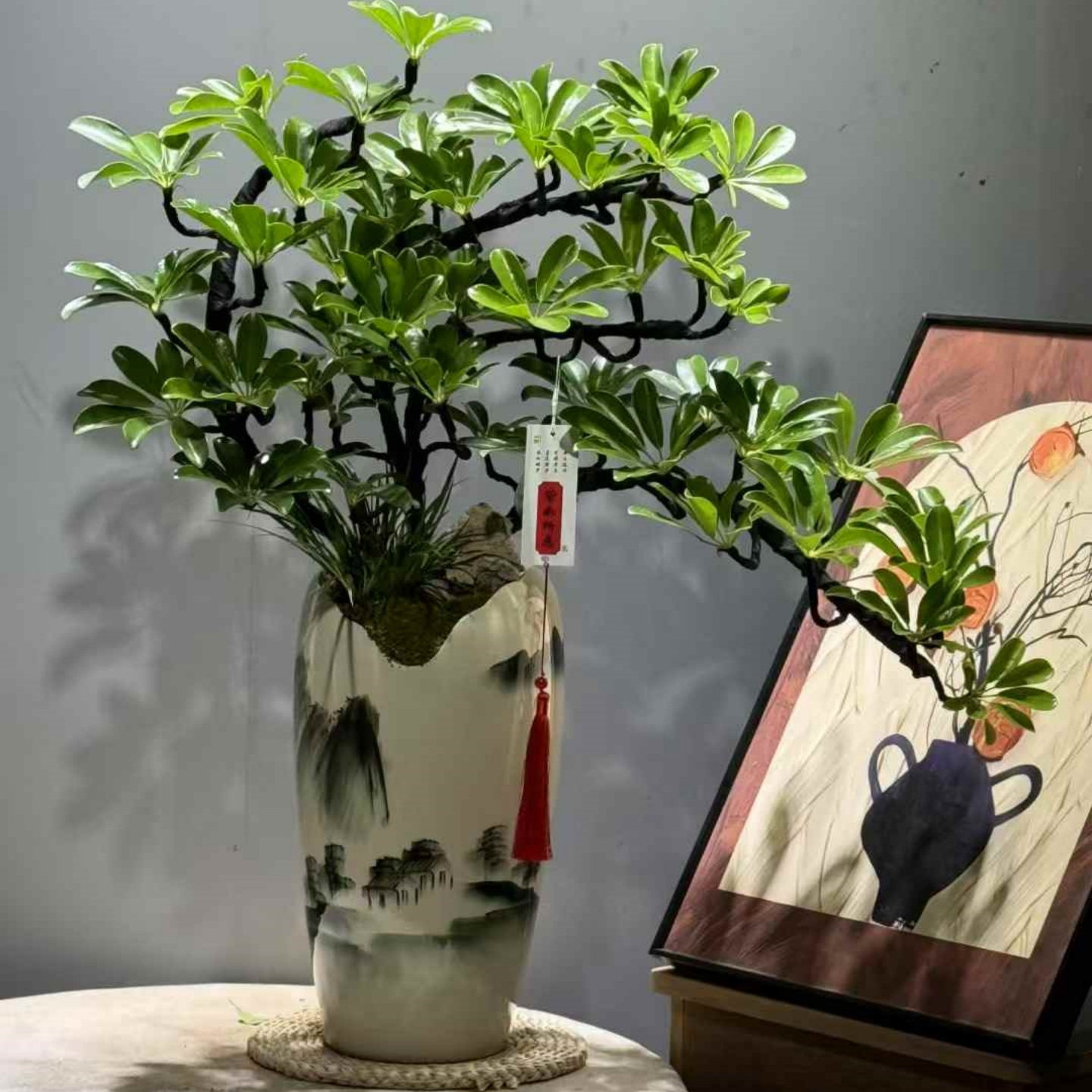 造型鸭脚木盆景室内好养书房茶几意境植物办公桌盆栽八方来财绿植,淘宝优惠券,粉丝福利购,淘宝优惠卷