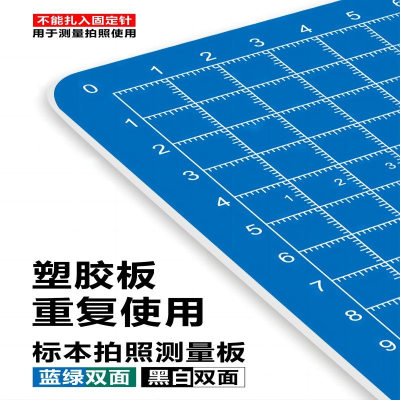 标本固定板医用ESD/病理组织手术刻度尺拍照不反光双面塑胶测量板,淘宝优惠券,粉丝福利购,淘宝优惠卷