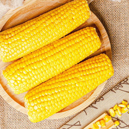 臻淳粮甜纯糯玉米臻淳粮甜新鲜粘苞米东北黑龙江非转基因小粒黄黏 - 图0