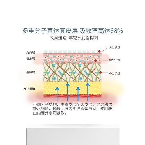 自营｜Biocyte碧维斯特玻尿酸原液胶囊淡化细纹收缩毛孔90粒植物-图3