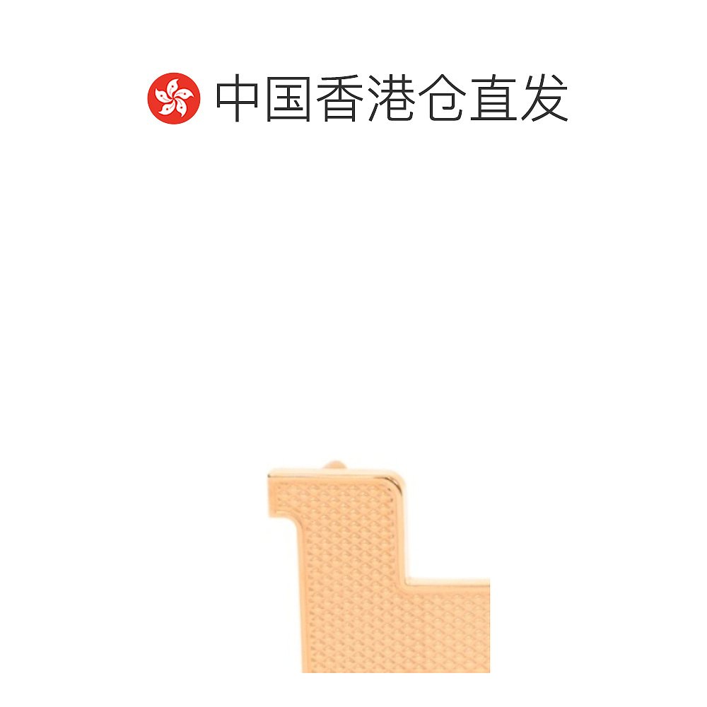 香港直邮Hermes 爱马仕 女士 logo字母皮带扣 BUCKLESPGD