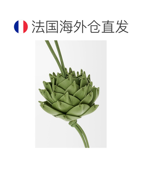 自营欧洲直邮Loewe罗意威 女士绿色小牛皮经典款【付后1h可退】