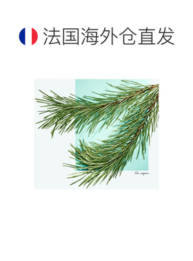 欧洲直邮Tiffany & Co挚爱男士香水90ml EDT淡香水正品