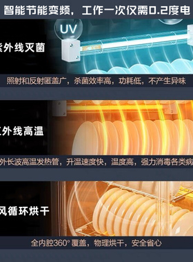 德国RELEASEPAD免沥水消毒柜家用小型不锈钢高温烘干餐具消毒碗柜