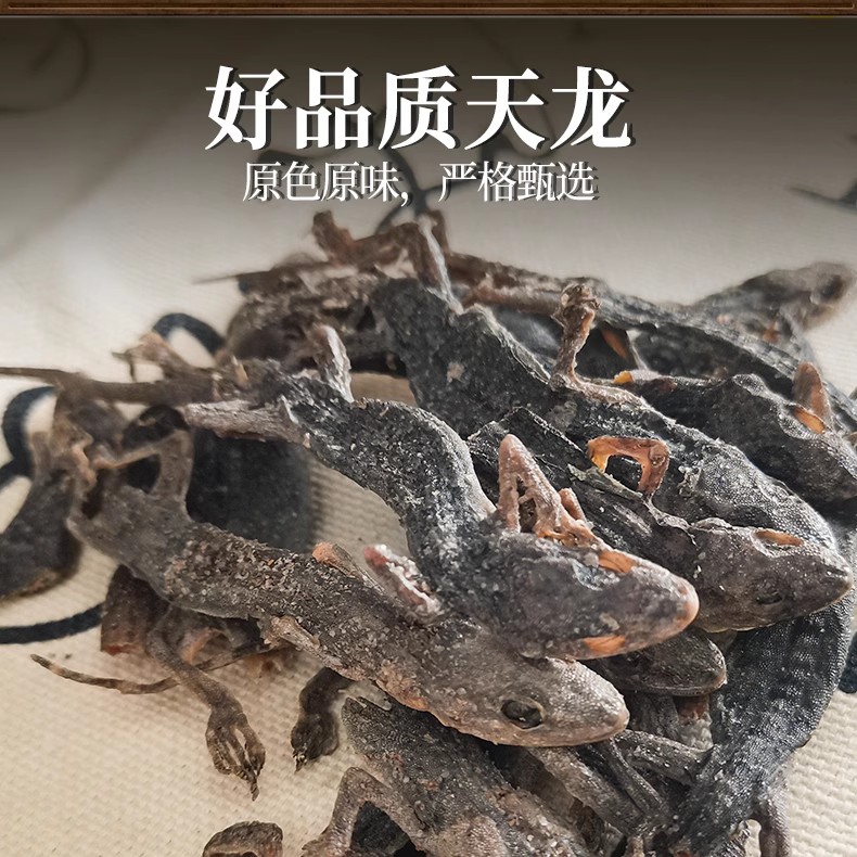 药房发货】壁虎中药材天龙守宫壁虎干中药材精制中药饮片壁虎粉 - 图0