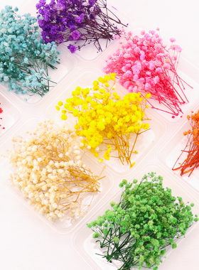 ins风单色干花盒DIY手工材料包