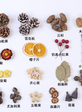 包邮天然果实松果幼儿园环创材料包拍摄道具手工diy天然干果套装