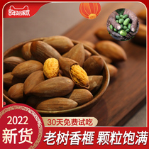 2023 New goods Aroma Torrei Bagged 500g and maple bridge terfuge Citreya Farma Nut Dried Fruits Snack Fried Stock