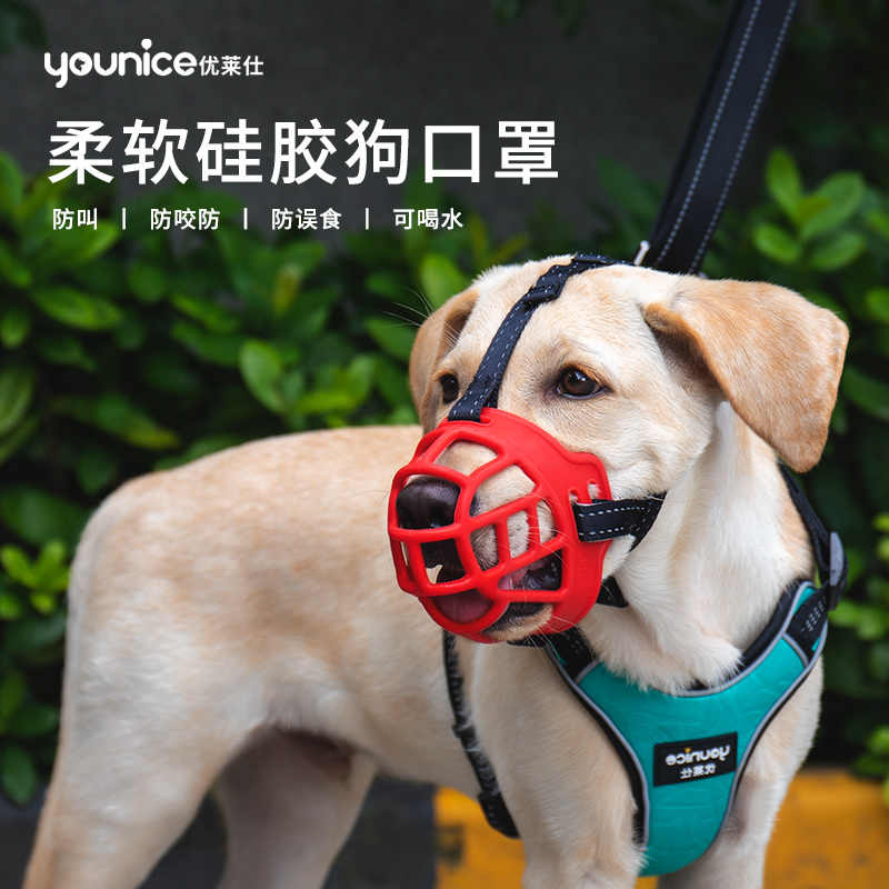 宠物犬口罩 新人首单立减十元 21年9月 淘宝海外