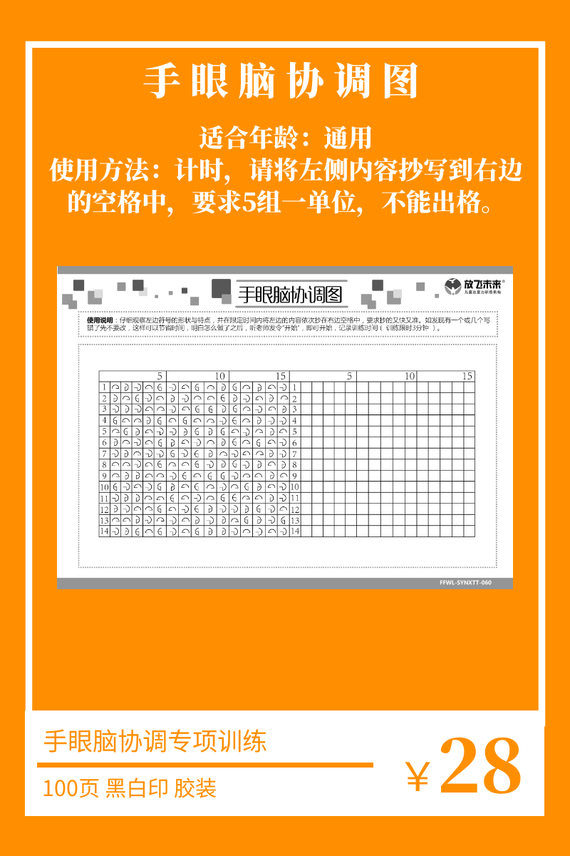 手眼脑协调图注意力集中专注力训练玩具教学材料课程特色培训-图0