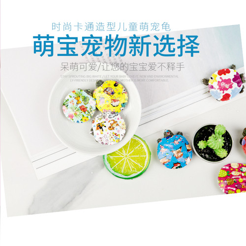 网红彩色小乌龟活体活物七彩小乌龟炫彩巴西龟包邮卡通观赏宠物龟 - 图1