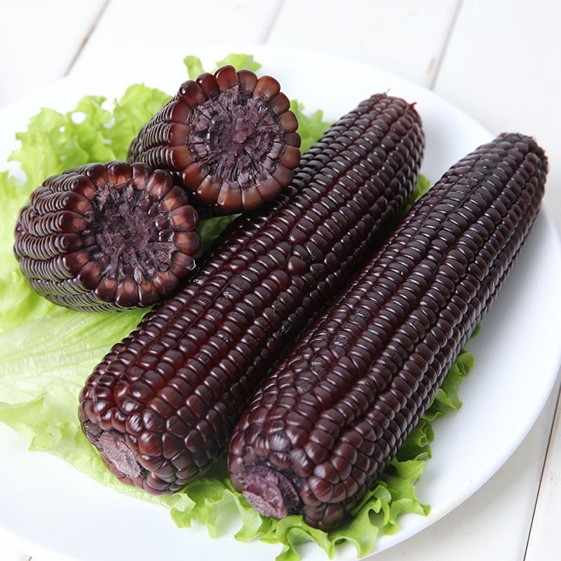 冬田 东北甜糯黑玉米 10根共2200g 天猫优惠券折后￥19.9包邮（￥39.9-20）黄玉米可选
