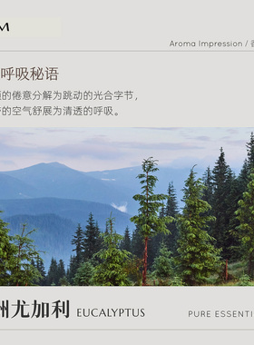尤加利桉树香薰单方精油天然植物