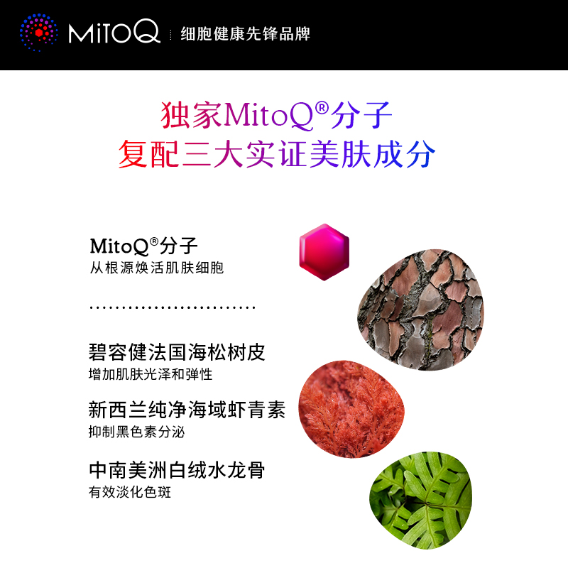 【3件巩固装】MitoQ小水舱胶原蛋白Q10衰老紧致神经酰胺虾青素 - 图1