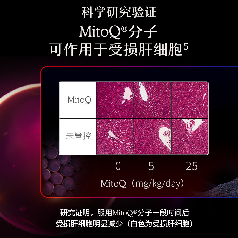  MITOQ海外蓟类