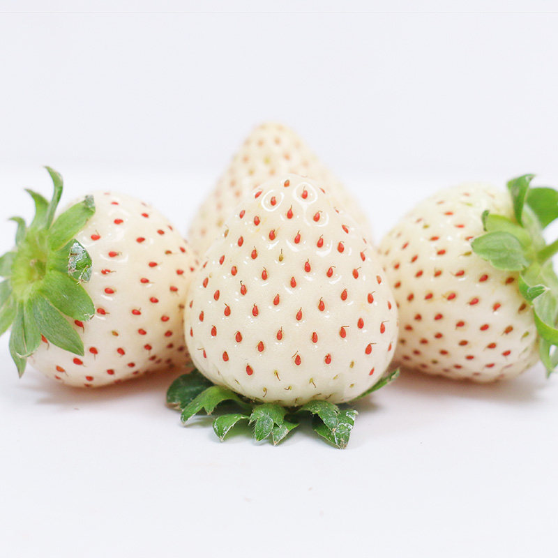 【团长专享】淡雪白色恋人雪宝白草莓1/2斤新鲜丹东草莓白雪公主,淘宝优惠券,粉丝福利购,淘宝优惠卷