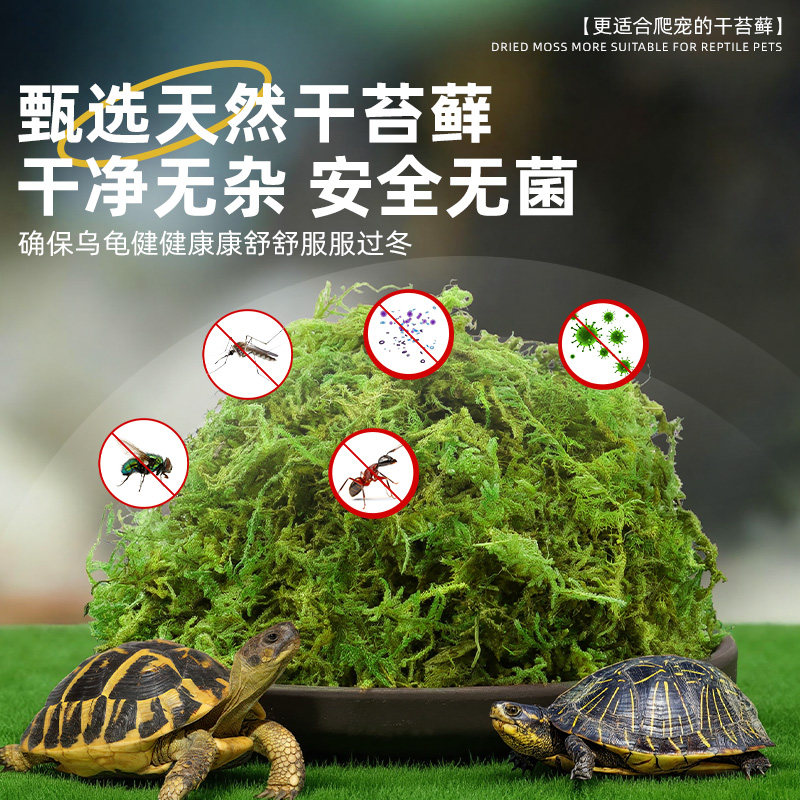 乌龟冬眠干苔藓爬宠冬眠孵化保暖保温保湿苔藓窝青苔藓乌龟窝垫材,淘宝优惠券,粉丝福利购,淘宝优惠卷