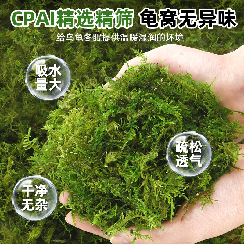 乌龟冬眠干苔藓爬宠冬眠孵化保暖保温保湿苔藓窝青苔藓乌龟窝垫材,淘宝优惠券,粉丝福利购,淘宝优惠卷