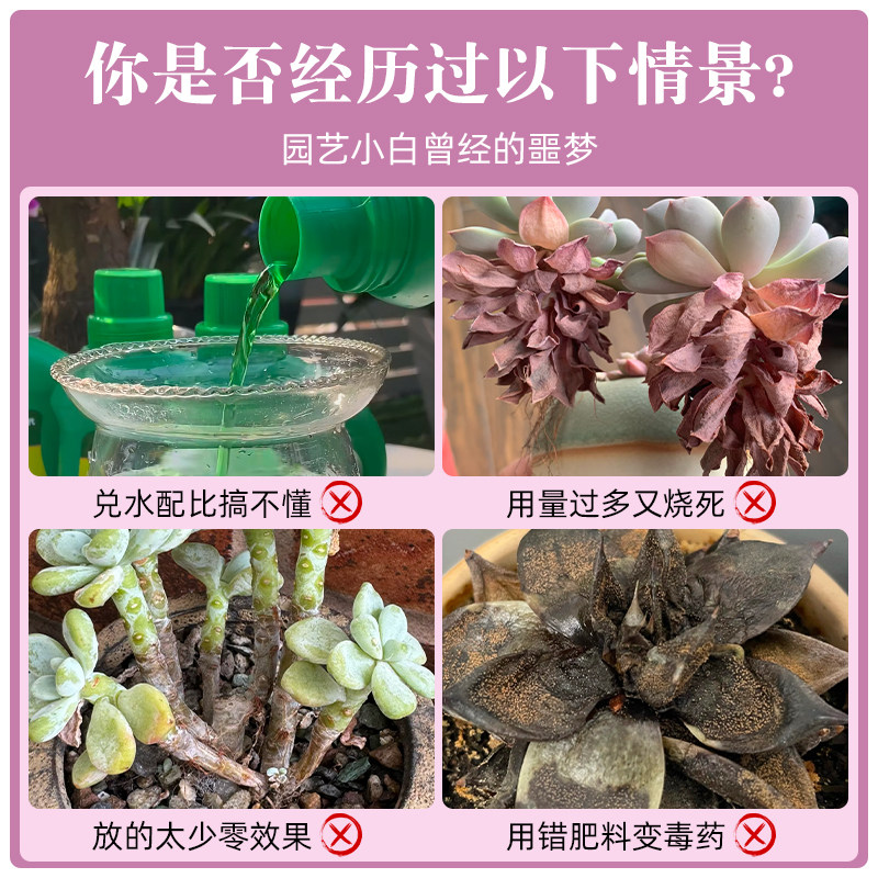 多肉营养液免稀释专用优芽素肥生根爆芽促侧芽花卉绿植通用矮胖素,淘宝优惠券,粉丝福利购,淘宝优惠卷