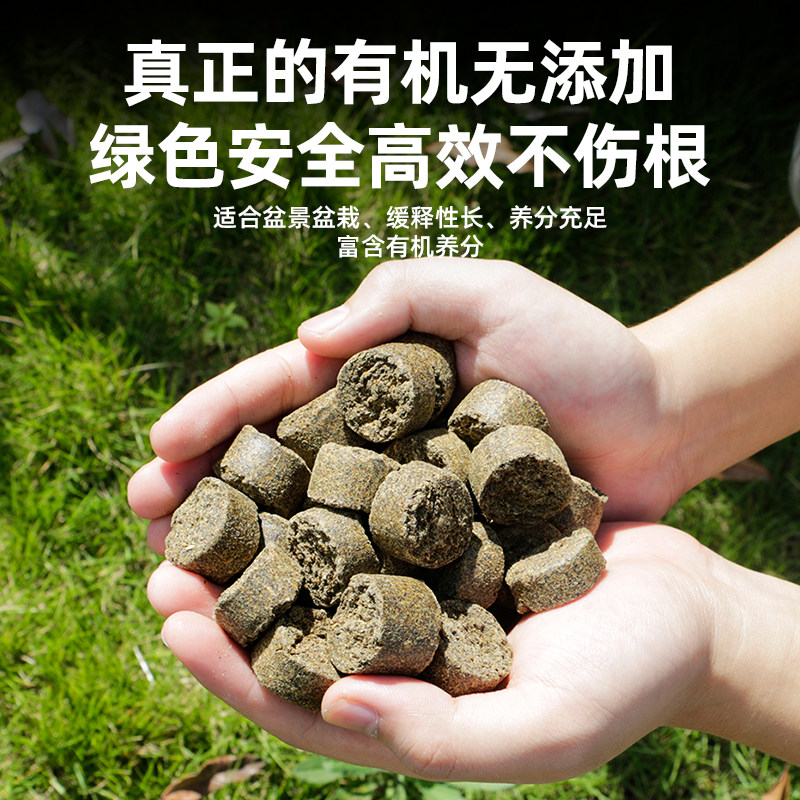 玉肥日本原装进口盆景松柏专用有机缓释肥颗粒通用花肥营养分装肥,淘宝优惠券,粉丝福利购,淘宝优惠卷