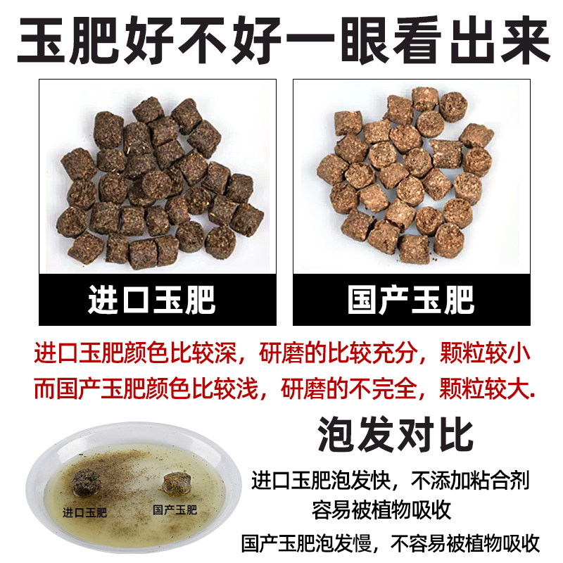 玉肥日本原装进口盆景松柏专用有机缓释肥颗粒通用花肥营养分装肥,淘宝优惠券,粉丝福利购,淘宝优惠卷