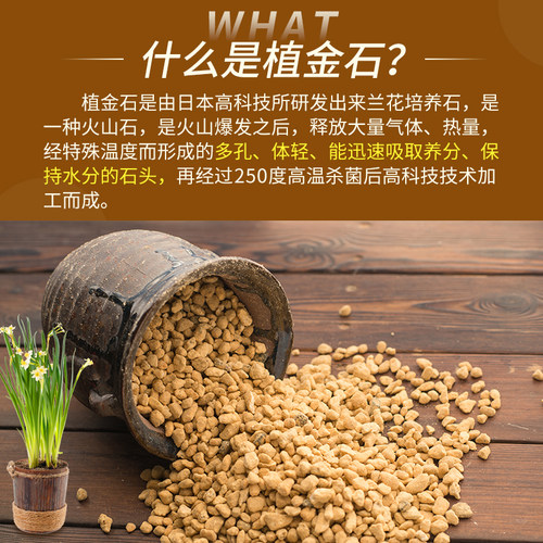 日本原装进口植金石兰花专用植料营养土兰花石多肉蝴蝶兰透铺面石 - 图1