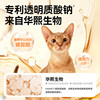 Leading Cat Staple Food Cans Hot Selling 3155w+ Cans