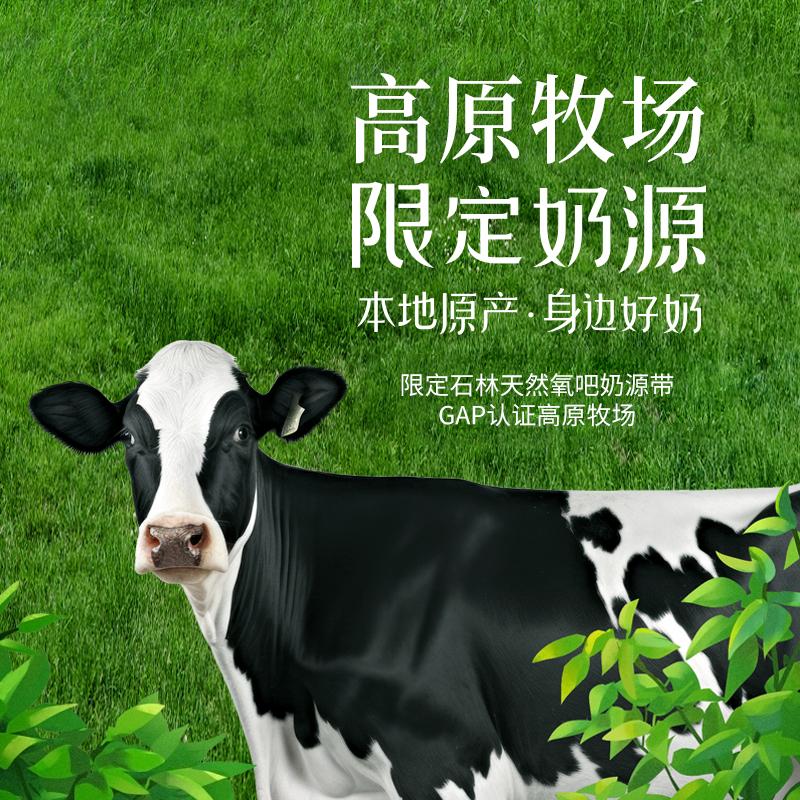 新希望雪兰石林牧场260g*10瓶纯牛奶家庭装低温牛奶