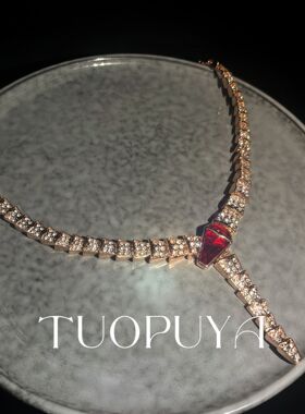 欧美密镶满钻蛇形项链小众设计感