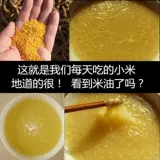 Желтый Xiaomi Xinmi Shanxi Xiaomi Xinzhou Special Little Huangmi Northern Farmhouse Mi Bao Zibao Mi 5 фунтов бесплатно доставка